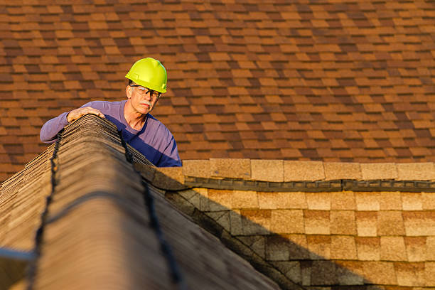 Best Roof Gutter Cleaning  in Farr West, UT
